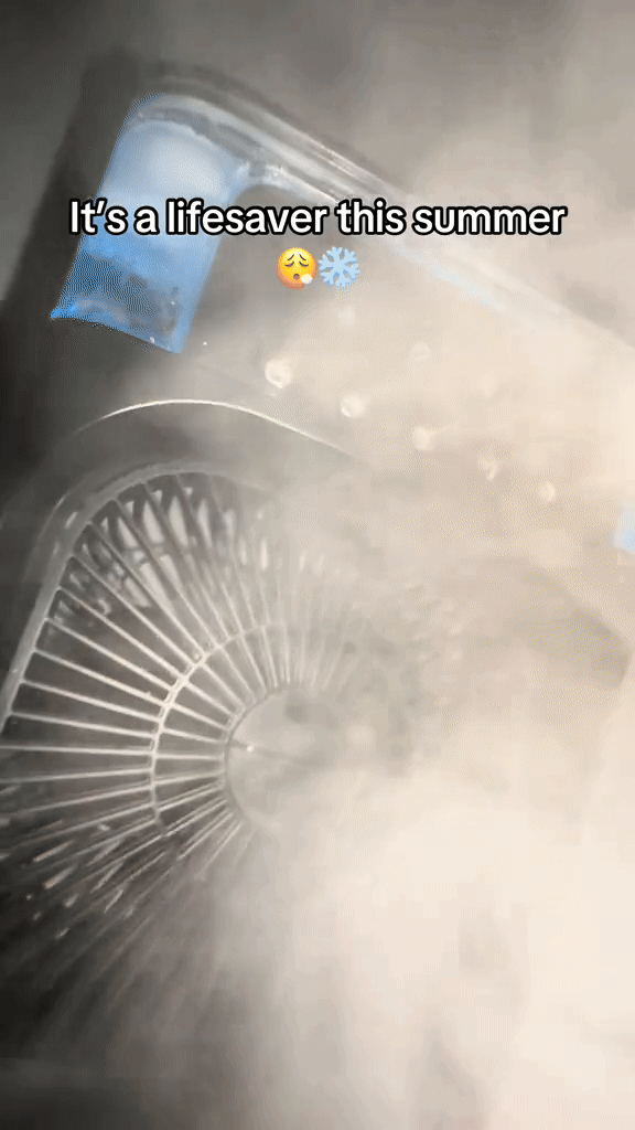 PureFrost 3 in 1 Portable fan