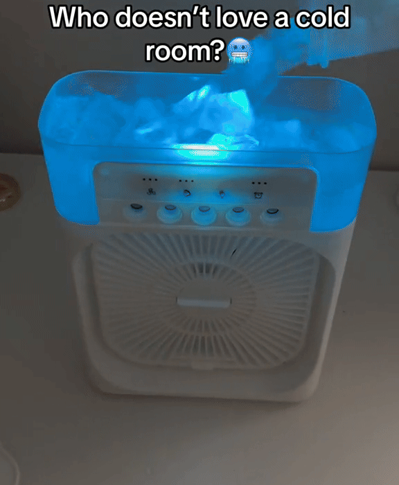 PureFrost 3 in 1 Portable fan